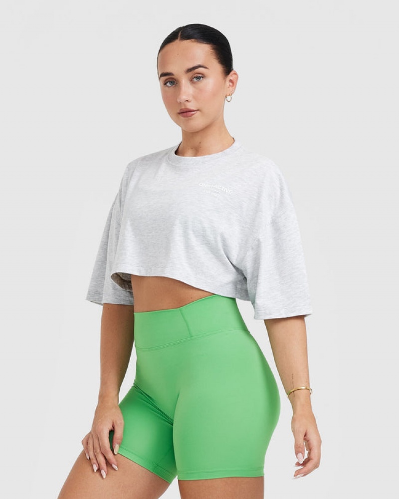 Oner Active Klassieke Lifters Grafische Relaxed Crop Lichtgewicht T-shirts Lichtgrijs | QPZ-569147