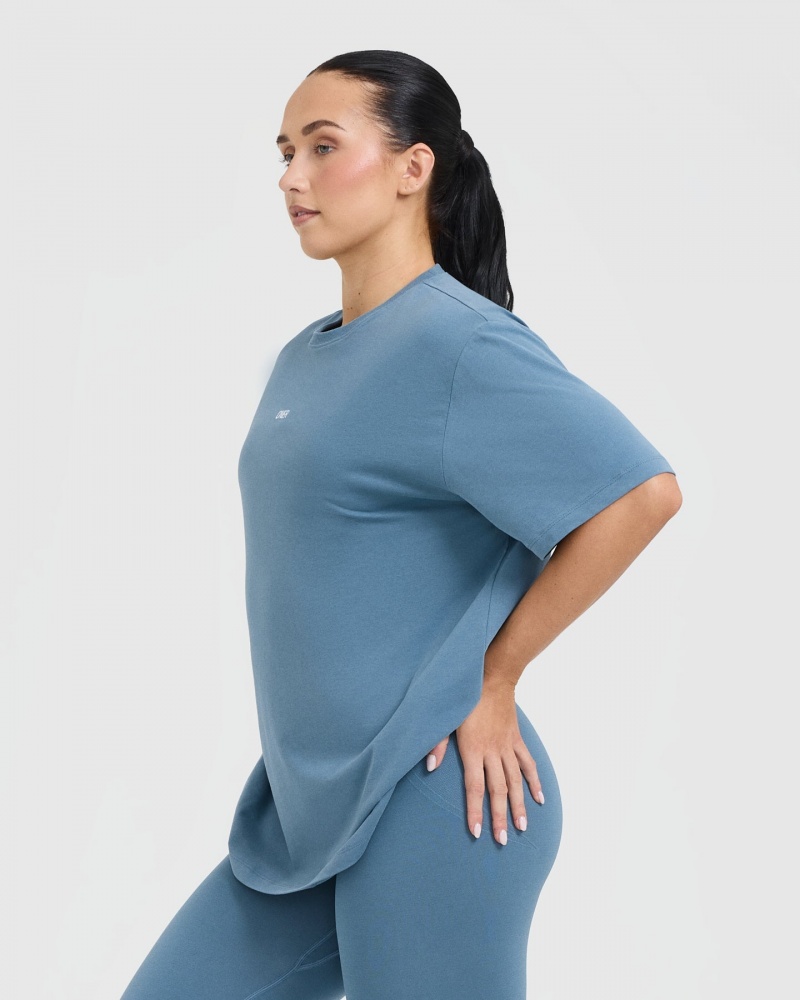 Oner Active Klassieke Oner Grafische Oversized Lichtgewicht T-shirts Blauw | GIX-928517