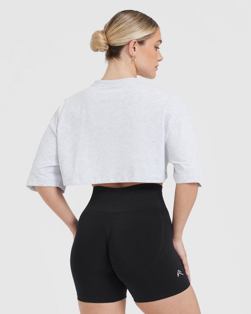 Oner Active Klassieke Relaxed Crop Lichtgewicht T-shirts Lichtgrijs | QNL-012583